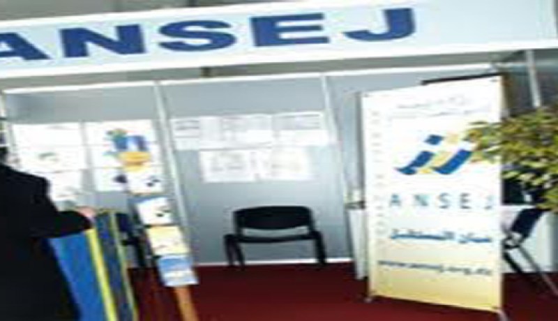 تمويل أكثر من 460 مشروع لدعم تشغيل الشباب خلال 2011 بالأغواط