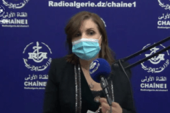 مشاركة أزيد من 100 عمل ثقافي في جائزة رئيس الجمهورية للأدب واللغة الأمازيغية