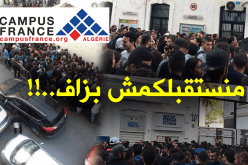 اللغة الفرنسية..تثير الفوضى ومديرة “CCF” ترفض استقبال الجزائريين