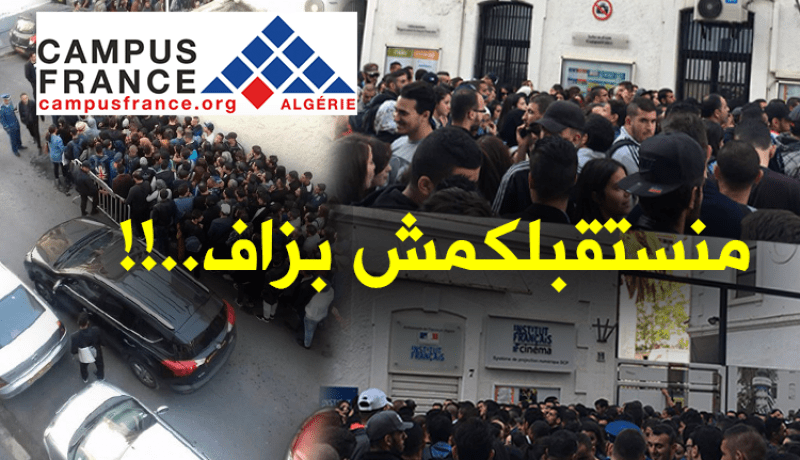 اللغة الفرنسية..تثير الفوضى ومديرة “CCF” ترفض استقبال الجزائريين