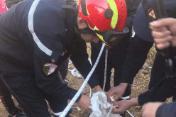 إنقاذ طائري دجاج رومي بعد سقوطهما في بئر بسكيكدة