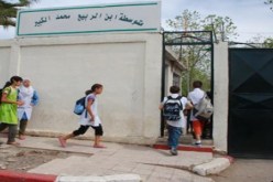 إنشاء 10 نوادي خضراء  عبر المؤسسات التربوية بالأغواط