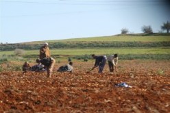 إطارات أبرموا صفقات مشبوهة شفويا ومشاريع وهمية استفاد أصحابها من ملايير الدينارات