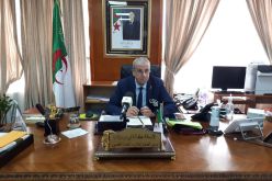 بن زيان يشارك في الاجتماع الإفتراضي لوزراء التعليم العرب