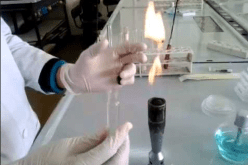 باكستاني وبنغالي يفوزان بـجائزة “اليونسكو” لعلم الأحياء الدقيقة