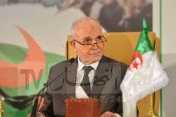 شرفي: نتيجة التصويت على الدستور لا غبار عليها