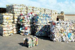 مركز الردم للنفايات بوهران.. استرجاع 374 طن من مادة “الكرطون” منذ بداية العام