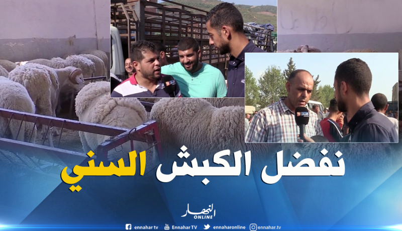 بالفيديو ..هذا هو سبب إختيار الجزائريين للكبش السني