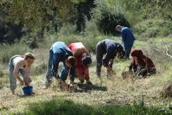 إفـلاس المنتجين يدفع بالفلاحين إلى الإستنجاد بالمستوردين