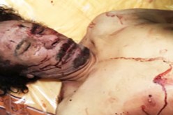 الطيور تكشف قبر القذافي