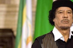 حملة مطاردة تستهدف 23 من رجال القذافي في مصر