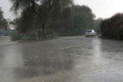 الأمم المتحدة تعلق ترسيم الحدود البحرية بين نيجيريا والكاميرون