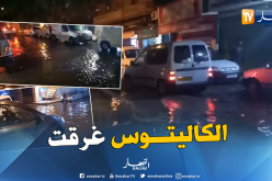 شاهد سيول الأمطار تغمر شوارع الكاليتوس