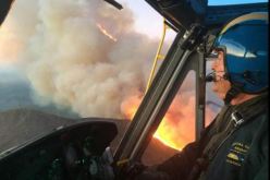 بالصور.. تفحم 1200 فدان في حريق بولاية كاليفورنيا الأمريكية