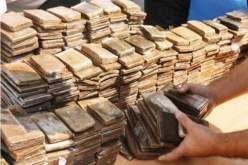 فرقة “BRI” توقف بارون مخدرات وتحجز بحوزته 12 كلغ قنب هندي بالوادي