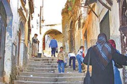 رحلة في إيكوزيوم … القصبة