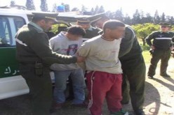 تورط 237 شخصا بينهم 15 امرأة و4 قصر في قضايا إجرام خلال شهر في سكيكدة