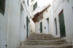 وزارة الثقافة مسؤولة عن مجزرة القصبة‮!‬