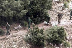 الجيش الوطني يقضي على ارهابي ثالث بسكيكدة