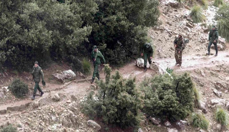 الجيش الوطني يقضي على ارهابي ثالث بسكيكدة