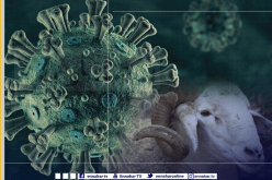 هذه إرشادات الحماية المدنية للوقاية من كورونا والحوادث خلال عيد الأضحى