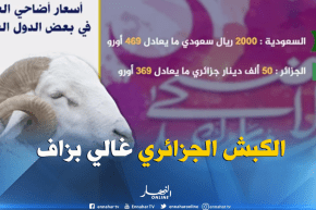 أسعار أضاحي العيد في بعض الدول العربية ..و الكبش الجزائري الأغلى