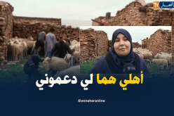 البيض : رقية ..طبيبة بيطرية ترافق الموالين في مجال احتكره الرجل بالمناطق المعزولة