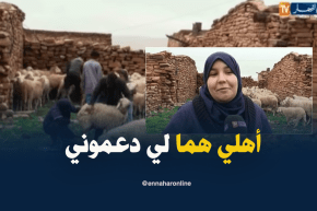 البيض : رقية ..طبيبة بيطرية ترافق الموالين في مجال احتكره الرجل بالمناطق المعزولة