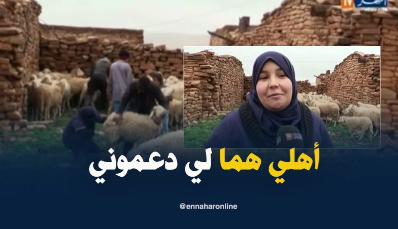 البيض : رقية ..طبيبة بيطرية ترافق الموالين في مجال احتكره الرجل بالمناطق المعزولة