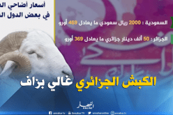 بالفيديو ..الجزائر الثانية عربيا من حيث غلاء أسعار الكباش