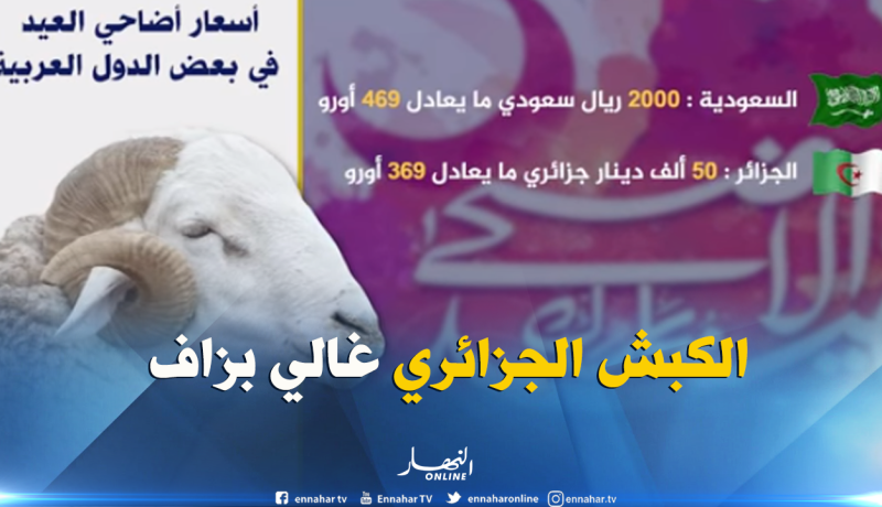 بالفيديو ..الجزائر الثانية عربيا من حيث غلاء أسعار الكباش