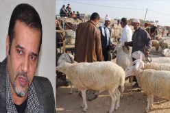 زبدي لـ “النهار أونلاين”: “احذروا المواشي المسمومة”