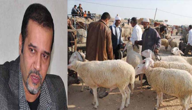 زبدي لـ “النهار أونلاين”: “احذروا المواشي المسمومة”