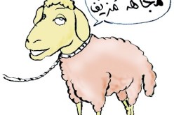 مجاهد سبعيني يسرق كبش العيد في حسين داي