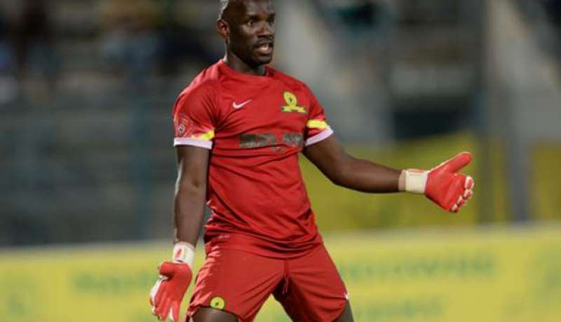 قائد زامبيا: “الجزائر لا تخيفنا”