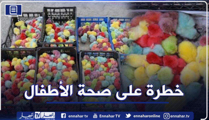 حجز 700 صوص مُلون موجهة للبيع في سكيكدة