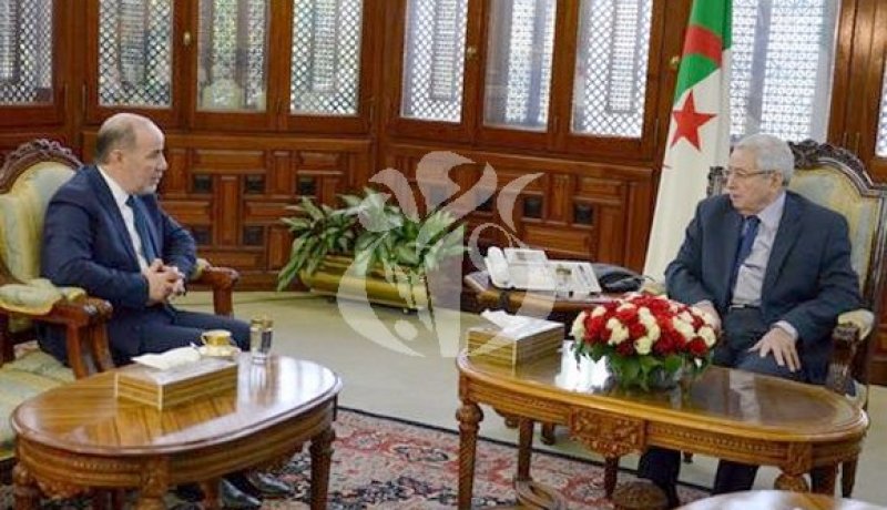 هذا فحوى لقاء بن صالح والوزيرين بلمهدي وجلاب