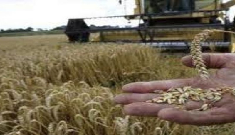 خبير في التأمينات الفلاحية يدعو لإنشاء وكالة وطنية ضد المخاطر الفلاحية