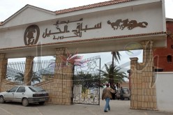 شركة سباق الخيل تلغي مسابقتها الوطنية