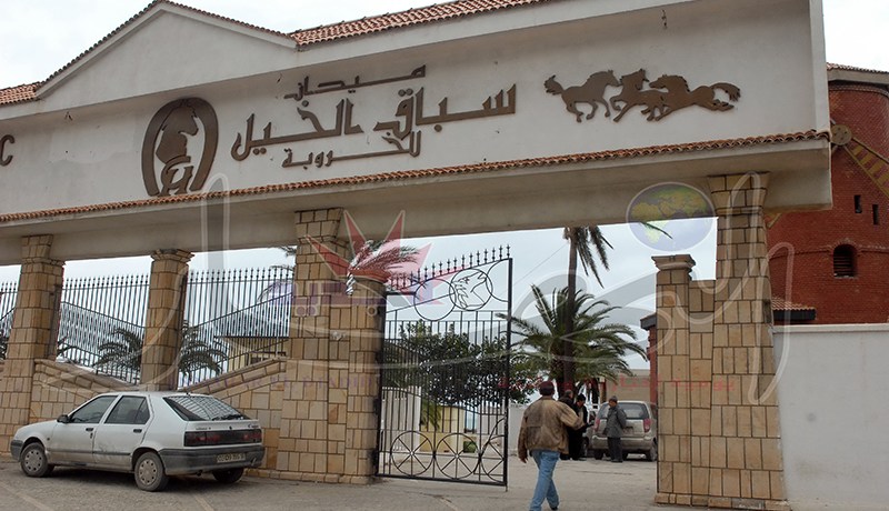 شركة سباق الخيل تلغي مسابقتها الوطنية