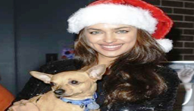 خطيبة رونالدو تهجره بسبب الكلاب