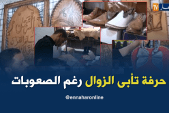صناعة الجلود بالجلفة.. حرفة تأبى الزوال رغم الصعوبات
