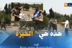 شباب يزاولون نشاطهم الفلاحي تحت درجة حرارة تفوق 40°بمعسكر