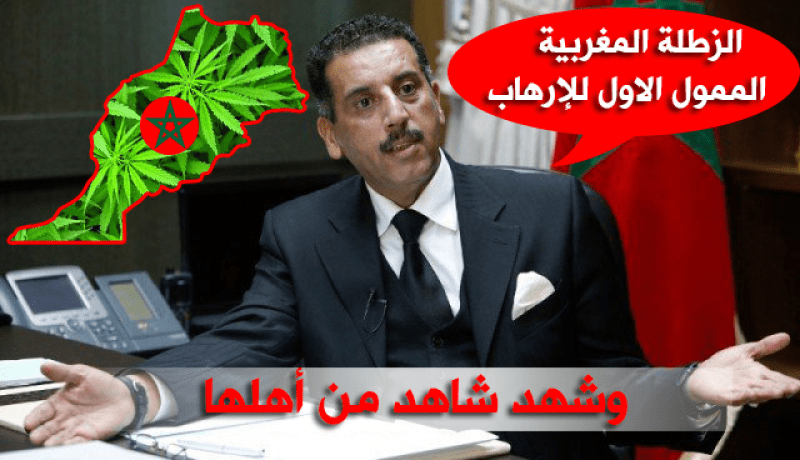 بالفيديو.. المخدرات المغربية الممول الأول للإرهاب في المنطقة