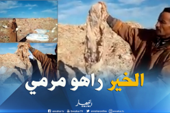 بالفيديو.. مئات القناطير من الصوف مرمية بضواحي بشار
