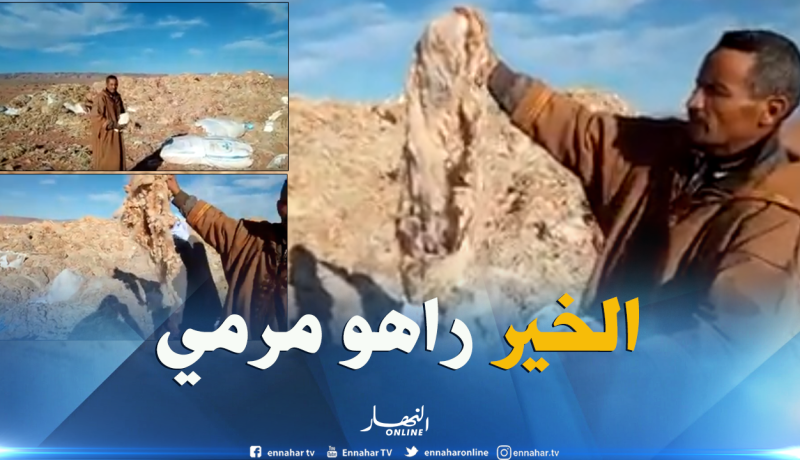 بالفيديو.. مئات القناطير من الصوف مرمية بضواحي بشار