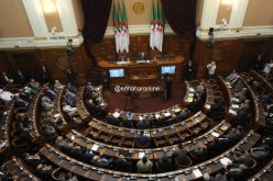 تعرف على النتائج الأولية لإنتخابات التجديد النصفي لعضوية مجلس الأمة