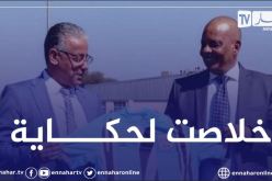 الاتحاد البوتسواني يرفض تجديد عقد عادل عمروش