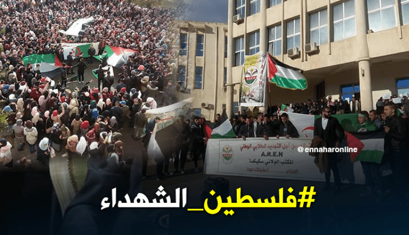 بالفيديو.. طلبة جامعة سكيكدة في وقفة تضامنية مع فلسطين