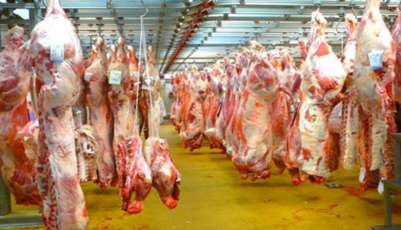 12 مذبحا بالعاصمة تفتقر لشروط النظافة والحفظ